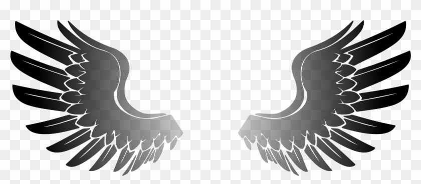 Png, Transparent Png - 2400x2400 (#105736) - PinPng