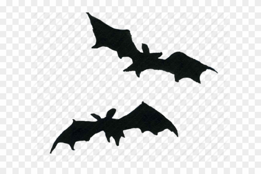 Bat Halloween PNG - Bat Halloween Decorations, Bat Halloween Pattern, Bat  Halloween Recipes. - CleanPNG / KissPNG