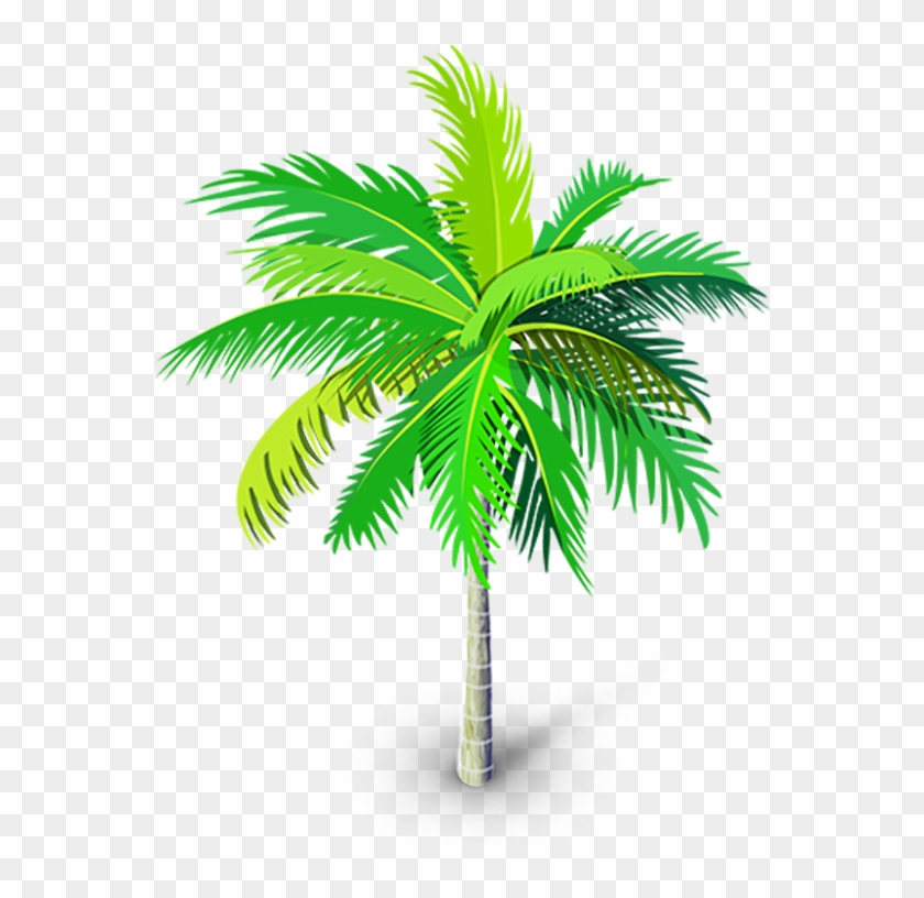 Palm Tree Png Palm Trees Youtube Thumbnail Tree Palm Tree Vector Png Transparent Background Png Download 900x900 1026533 Pinpng