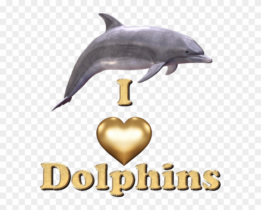 Where's The Dolphin Sticker Pack For Imessage Messages Common