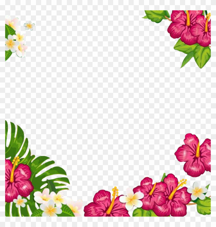 Summertime Summerfun Tropical Flowers Frame Picturefram, HD Png