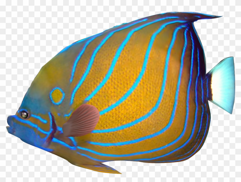 Download Tropical Aquarium Fish Svg Royalty Free - Tropical Fish ...