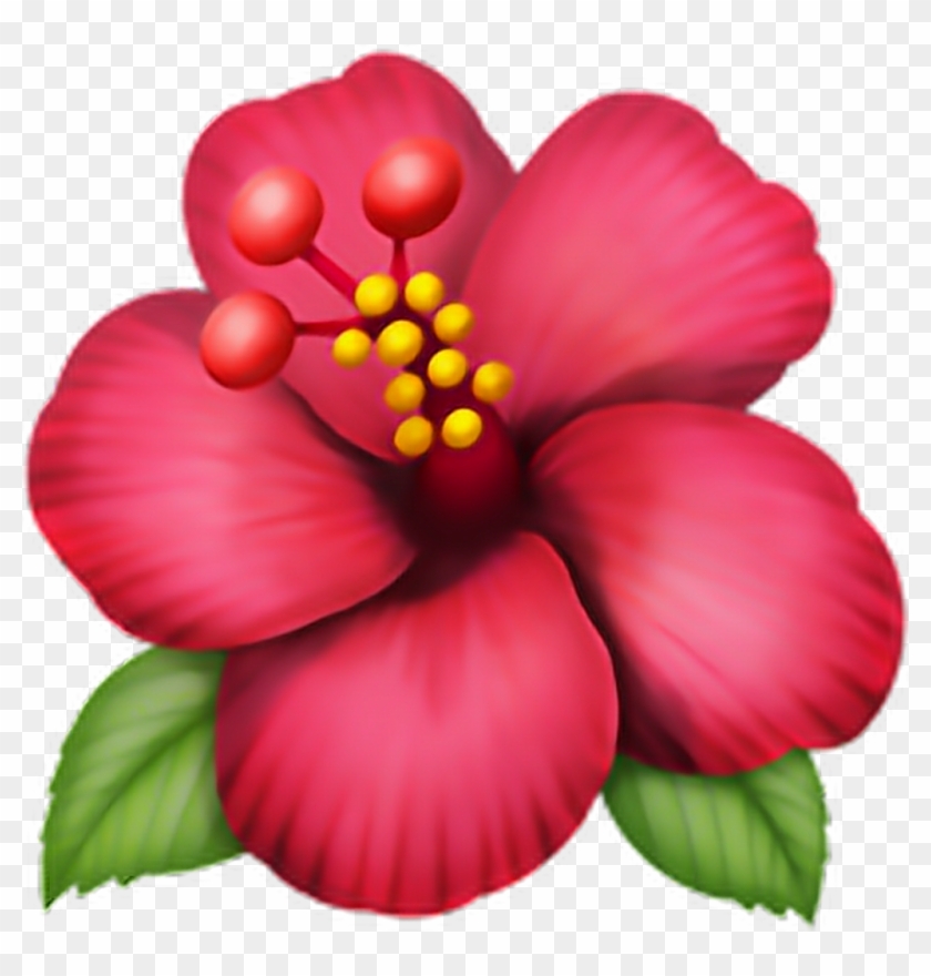 Flower Emoji Emoticon Iphone Iphoneemo