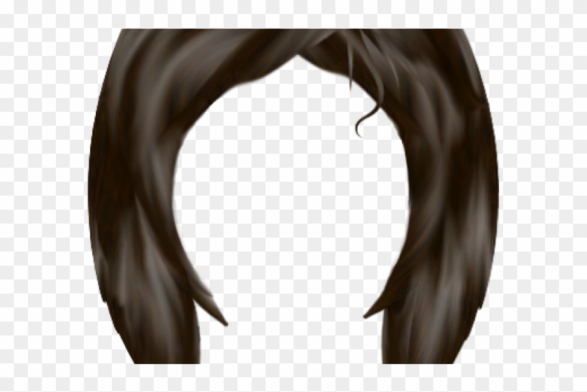 Brown Wig PNG and Brown Wig Transparent Clipart Free Download