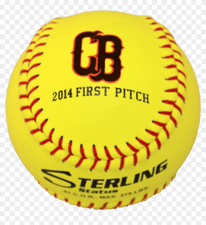 Bailey Softball Player Information Sheet Fill And Sig vrogue.co