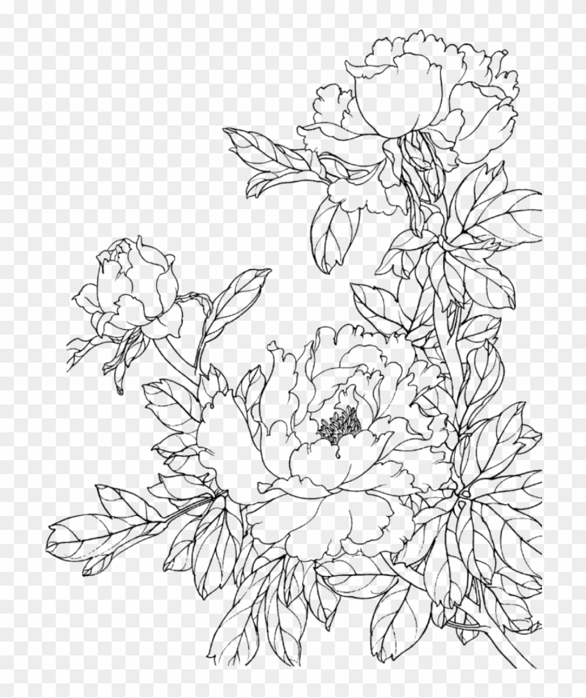 Flower Flowers Draw Drawing Sbook Sbooking Desi Drawing, HD Png
