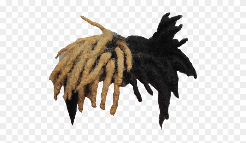 Xxxtentacion Hair Png Xxxtentacion Hair Transparent Background - roblox face picsart cartoon hd png download transparent png