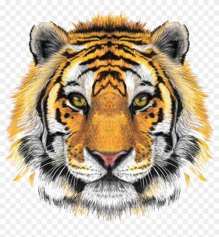 Free Png Download Tiger Head Transparent Png Images - Tiger Head ...