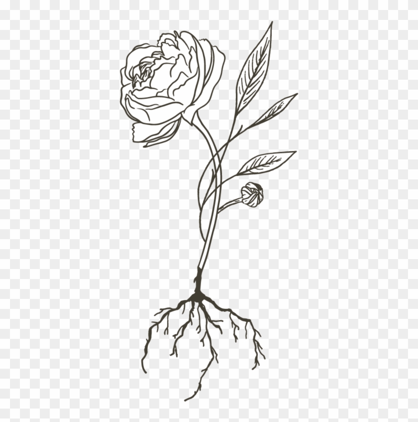 F L O U R I S H, HD Png Download 425x800 (1838029) PinPng