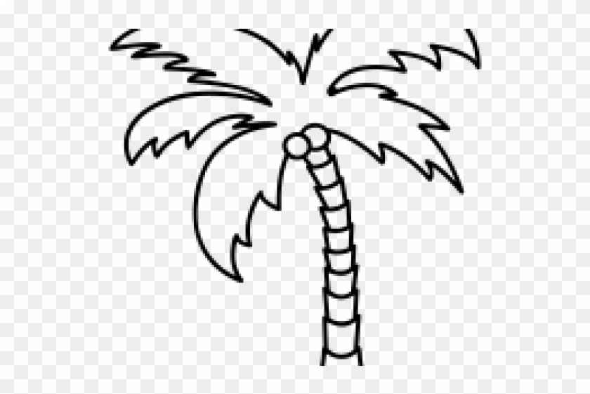 Drawn Palm Tree Line Palmeras Para Dibujar Faciles Hd Png