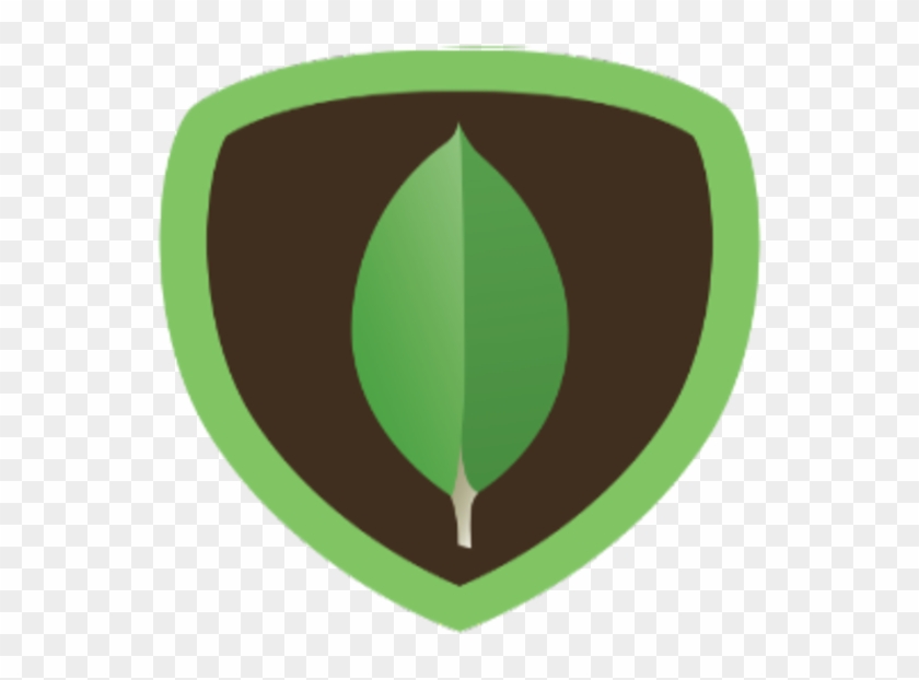 Mongodb Logo Png, Transparent Png - 770x578 (#2063031) - PinPng