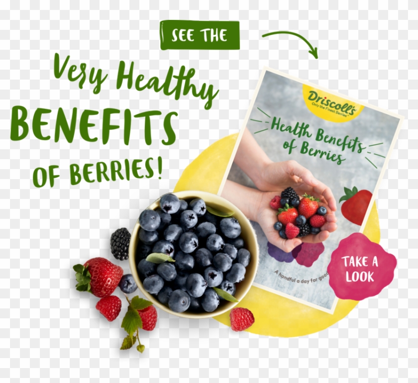 Berry Png - Frutti Di Bosco, Transparent Png - 850x739 (#2076475) - PinPng