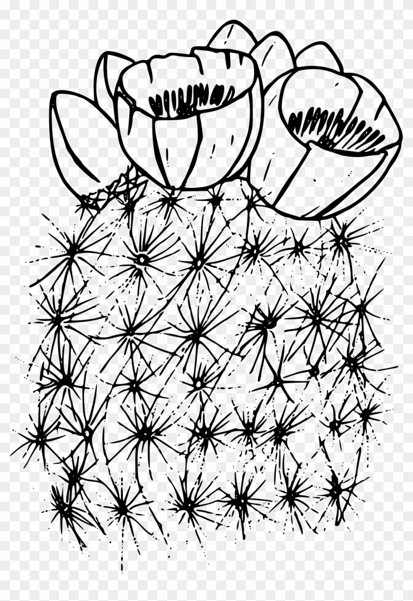 Cactus Coloring Page - Desenho De Cacto Preto E Branco - Free Transparent  PNG Clipart Images Download