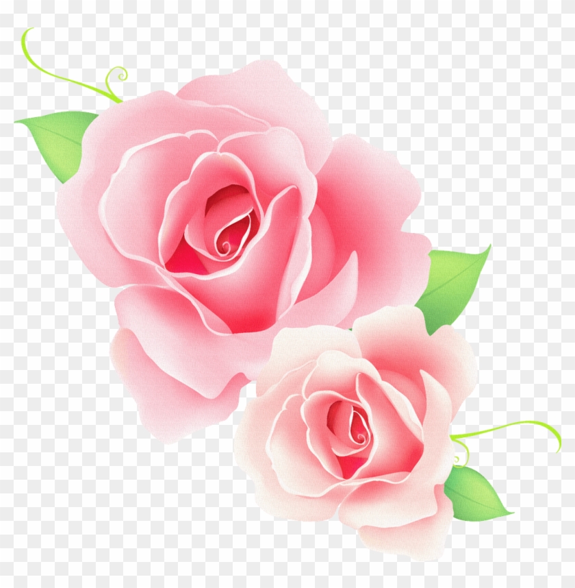 vector rose flower png