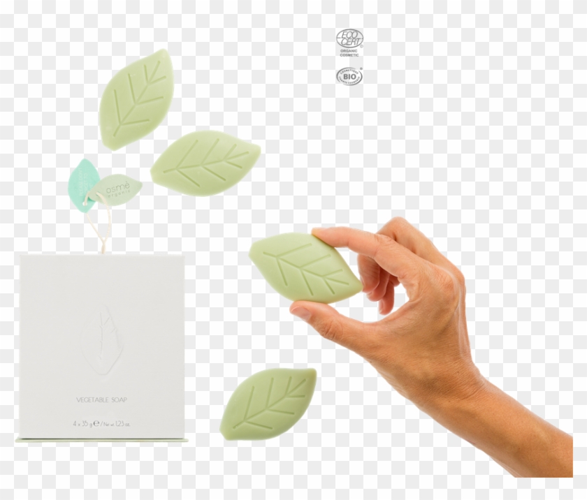 Organic Certified Leaf Shaped Soaps Gift Set, Osme', HD Png Download 1160x738 (2295591) PinPng