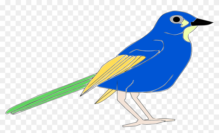 Bluejay Drawing Logo Blue Jays Pajaro Clipart Hd Png Download 1687x750 Pinpng Bluejay Drawing Logo Blue Jays Pajaro Clipart Hd Png Download 1687x750 Pinpng