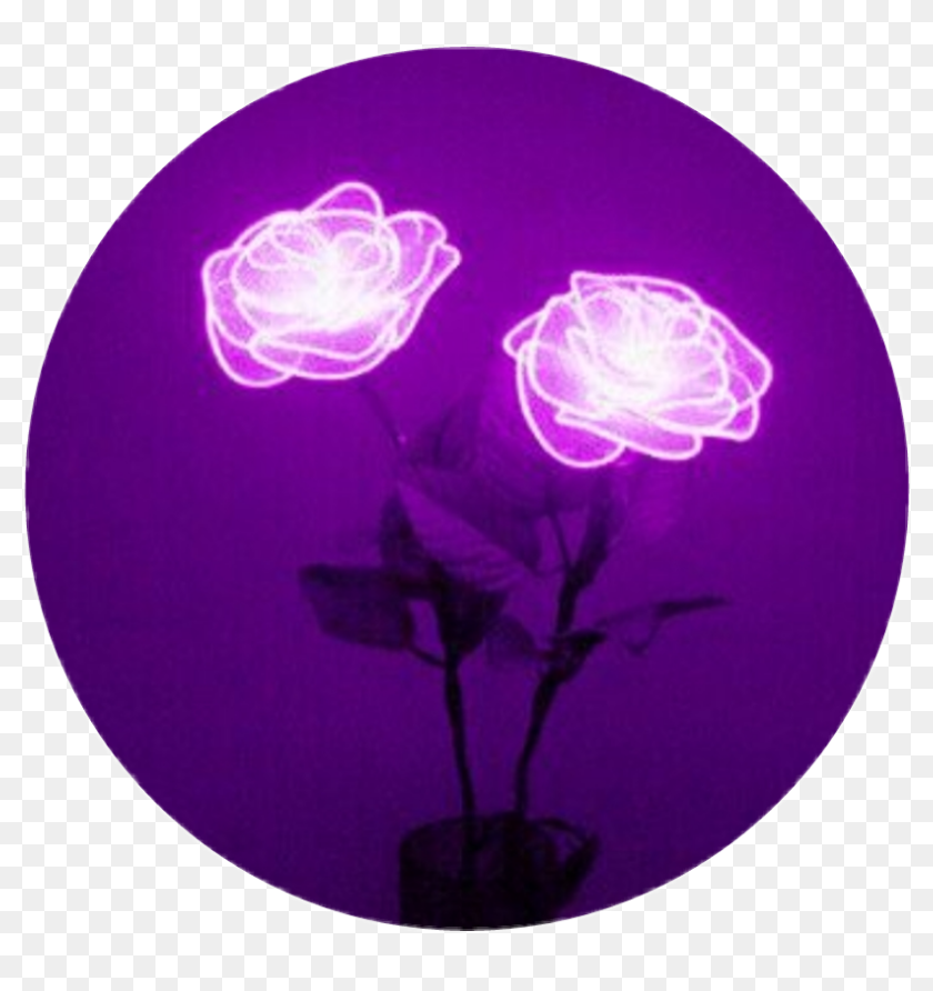 My Image 10