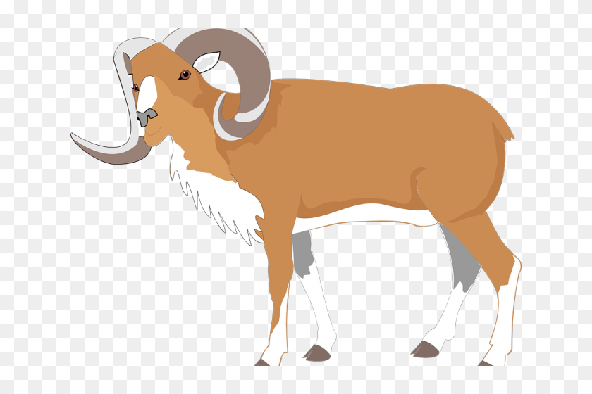 Download Gambar  Kambing  Lucu