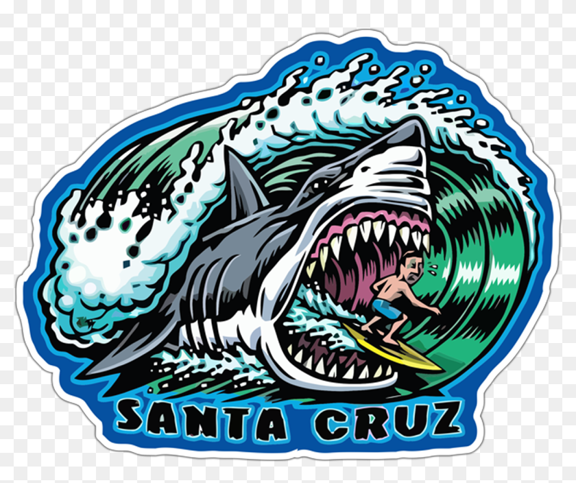 santa cruz skateboards and bikes