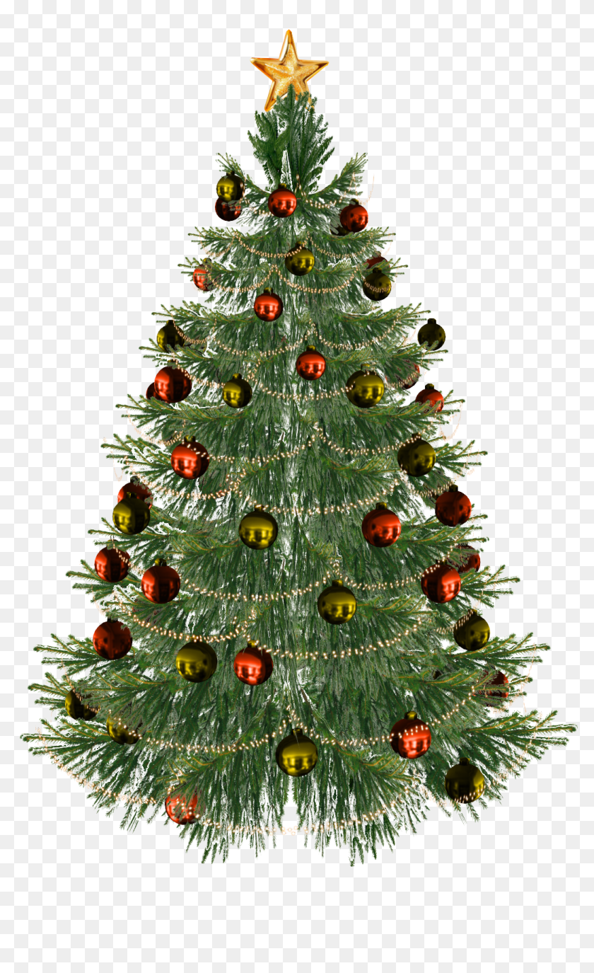 Christmas Tree Png - Christmas Tree, Transparent Png - 1200x1920 ...