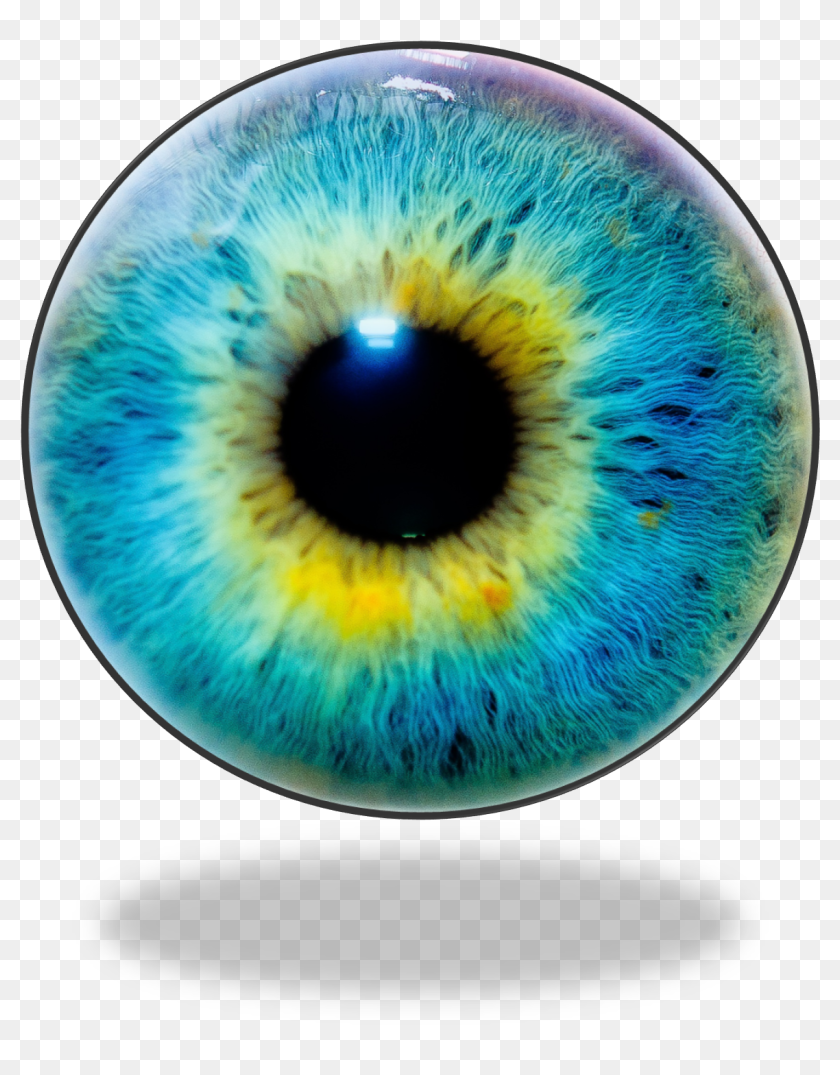 Eye Lens Png Eyes Lens Pic Png, Transparent Png 1169x1455 (2813738