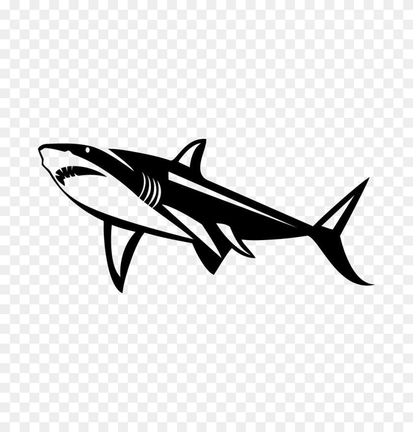 Download White Shark Decal - Free Shark Vector, HD Png Download ...