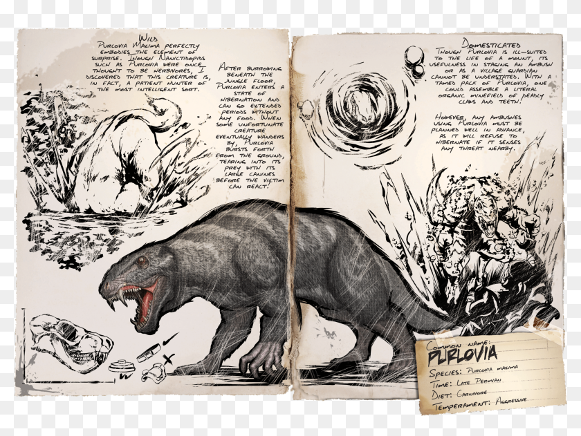 Purlovia Official Ark Survival Evolved Wiki Board Purlovia Purlovia En Ark Hd Png Download 2560x1702 Pinpng