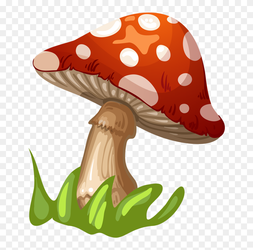 Фото, Автор Soloveika На Яндекс - Клипарт Грибы, HD Png Download ...