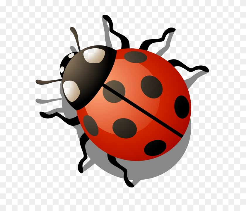 Child Cartoon png download - 1128*1280 - Free Transparent Ladybird