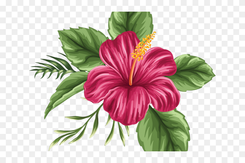 Hibiscus Clipart Moana Free Clip Art Stock Png Moana Hibiscus Flower With Leaves Transparent Png 640x480 Pinpng Hibiscus Clipart Moana Free Clip Art Stock Png Moana Hibiscus Flower With Leaves Transparent Png 640x480 Pinpng