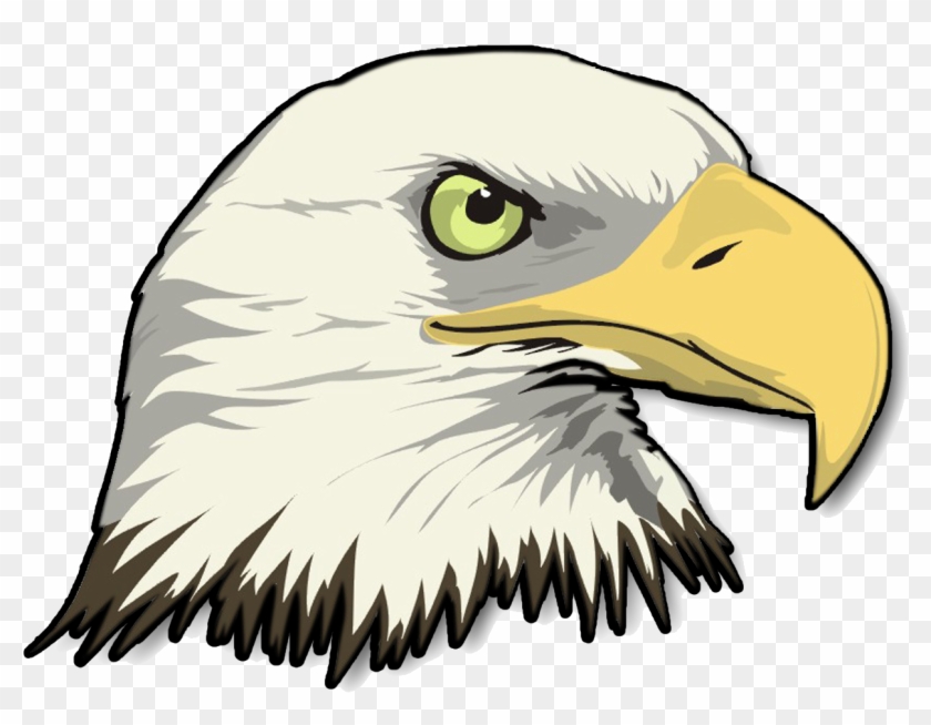 Png Stock Eagle Head Transparent Image, Png Download 1240x907