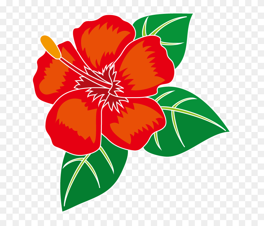 Hibiscus Flower Template Free Download Yourself ハワイ の 花 イラスト Hd Png Download 636x639 Pinpng