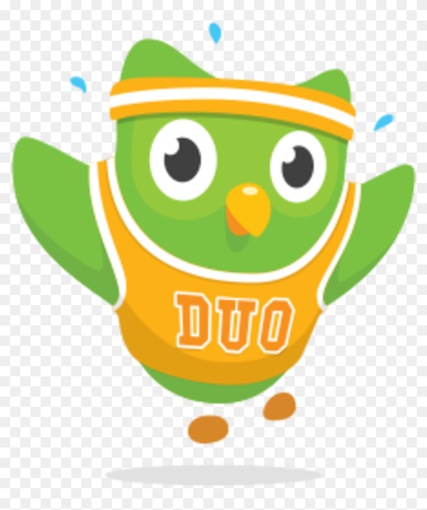 Duolingo learn. Совенок Дуолинго. Дуолинго дуо. Значок Duolingo. Иконка приложения Duolingo.