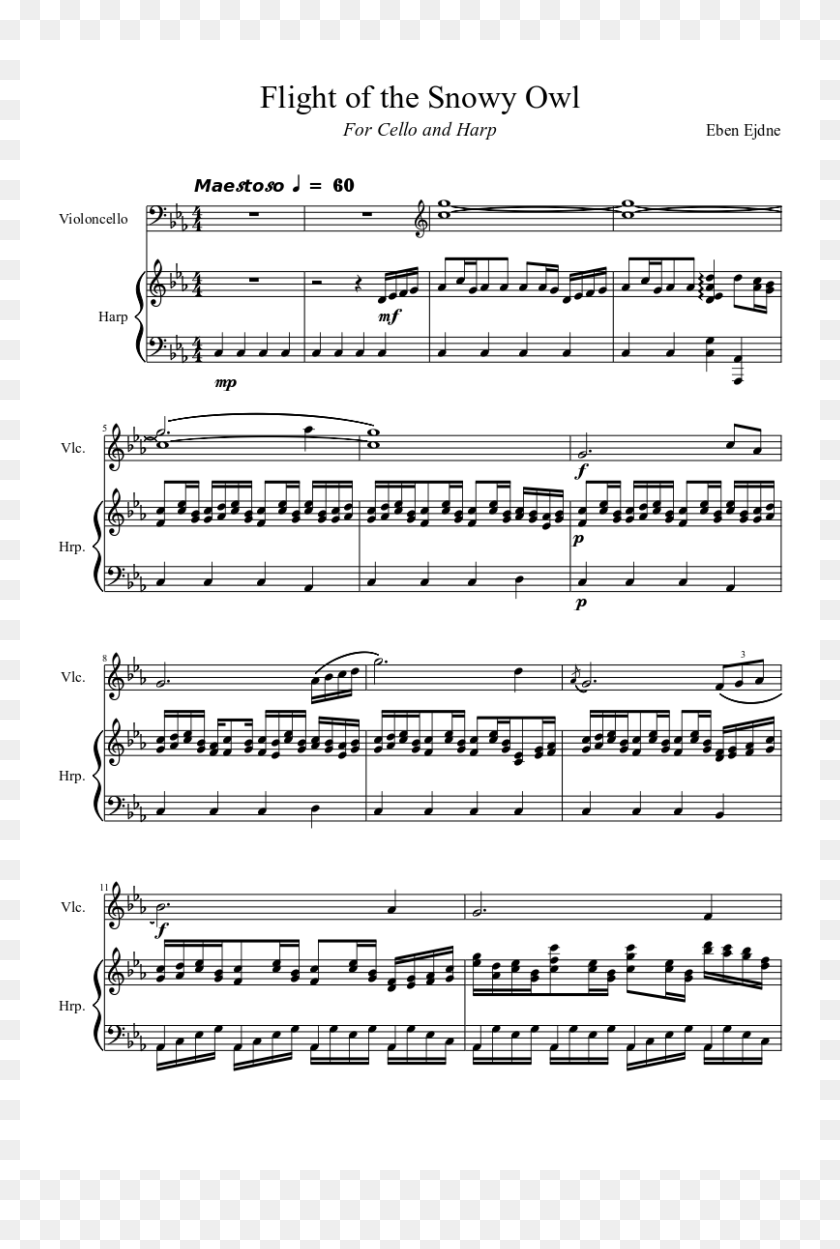 Flight Of The Snowy Owl Sheet Music Composed By Eben Creep Scala And Kolacny Brothers Score