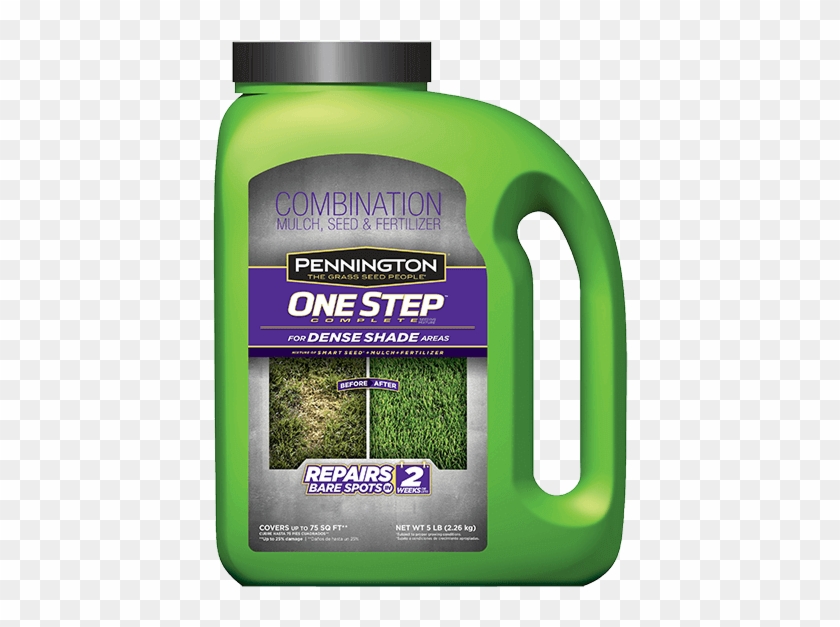 One Step Complete Dense Shade Grass Seed Pennington Grass Patch, HD