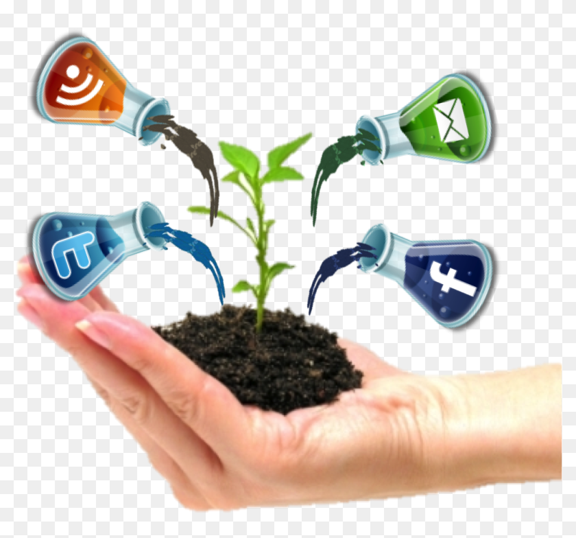 Grow every day. Grow маркетинг. эксперимент в бизнесе. grow business. grow your business.