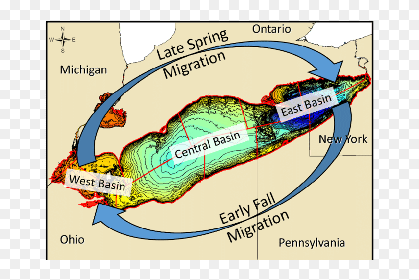 Depth Contour Map Of Lake Erie With Jurisdictions And - Lake Erie Depth