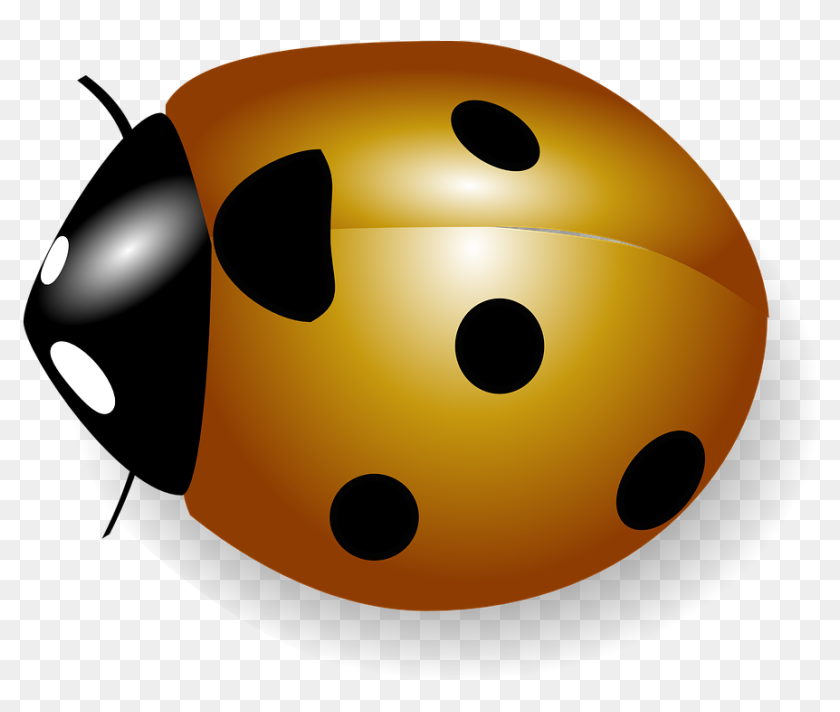 Joaninha Bonito Fundo Decorativo PNG , Encantador, Preto, Ladybug Imagem PNG  e Vetor Para Download Gratuito