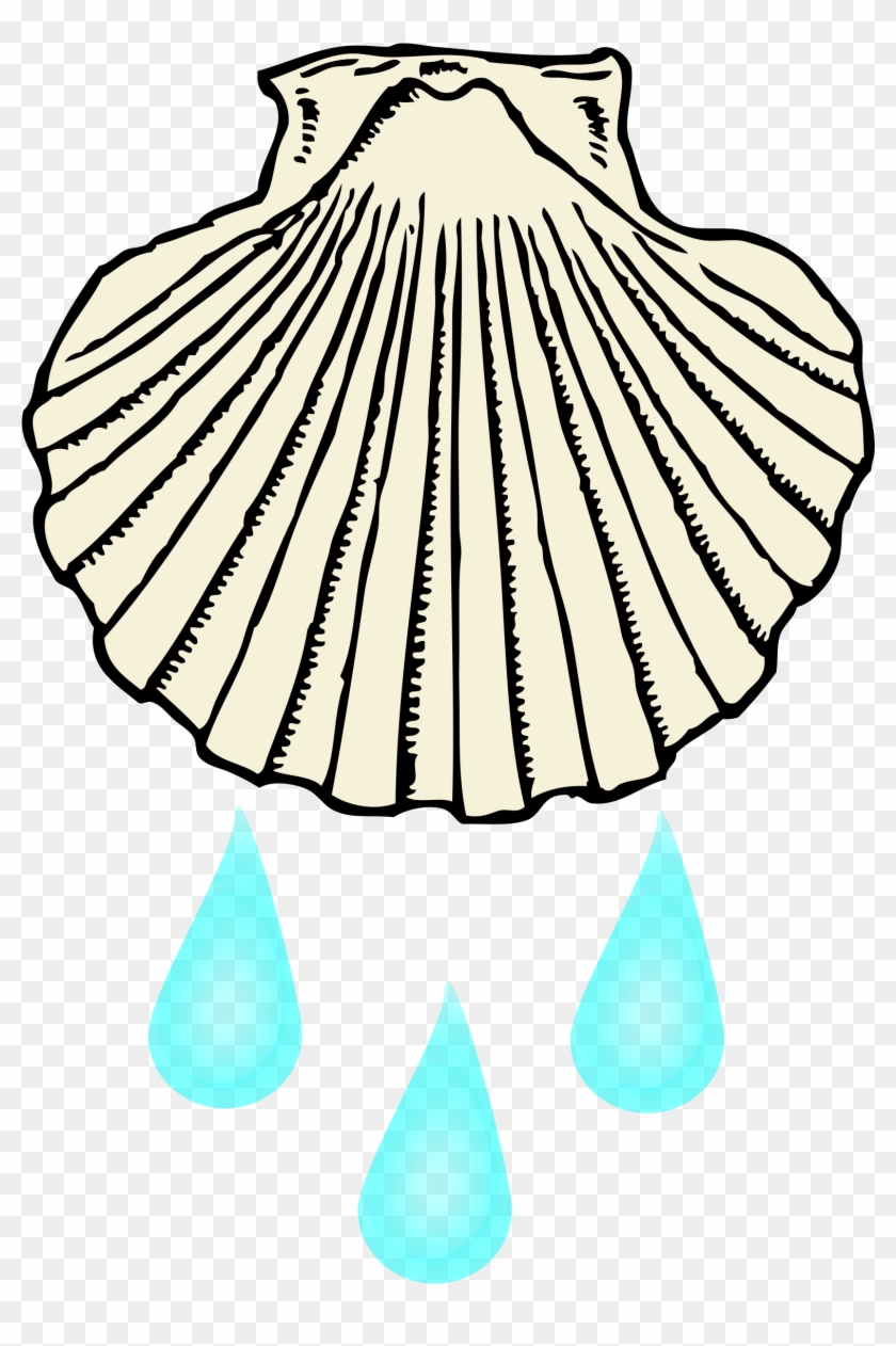 Shell Clipart Baptism Baptism Shell, HD Png Download 1555x2400