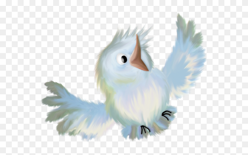 Gifs Passarinhos - Cockatoo, HD Png Download - 640x493 (#4120053) - PinPng