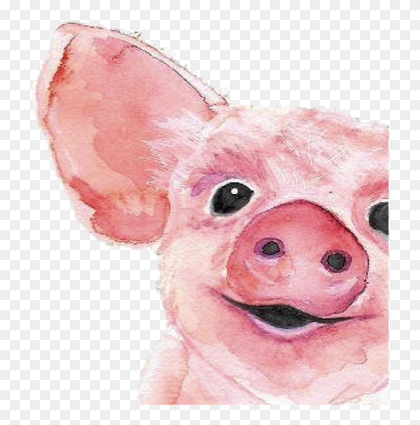Charlotte s web charlotte s web pig png transparent png 811x836
