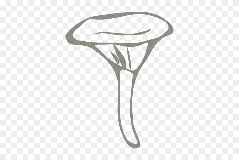 Its Latin Name Describes It Well Illustration HD Png Download 