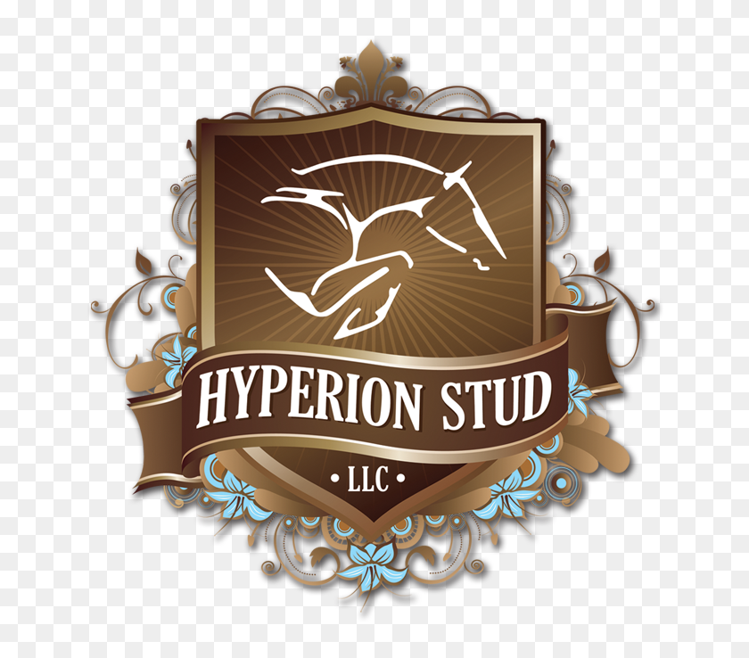 Chin Quidam Vdl - Hyperion Stud Logo, HD Png Download - 652x665 ...