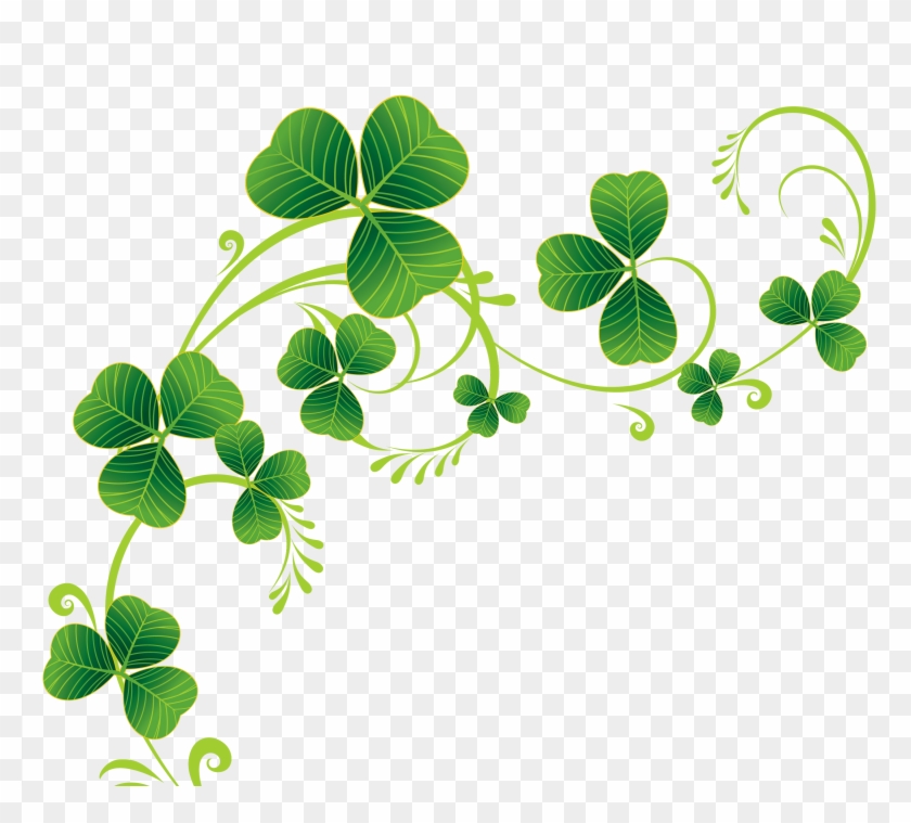 Shamrock Clover Patch Shamrock Clipart Transparent Background, HD Png