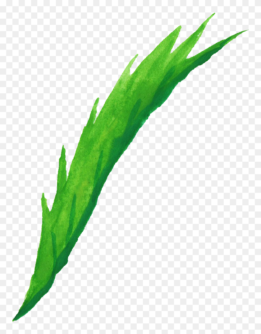 Free Download Hd Png Download 762x994 4605345 Pinpng Free Download Hd Png Download 762x994 4605345 Pinpng