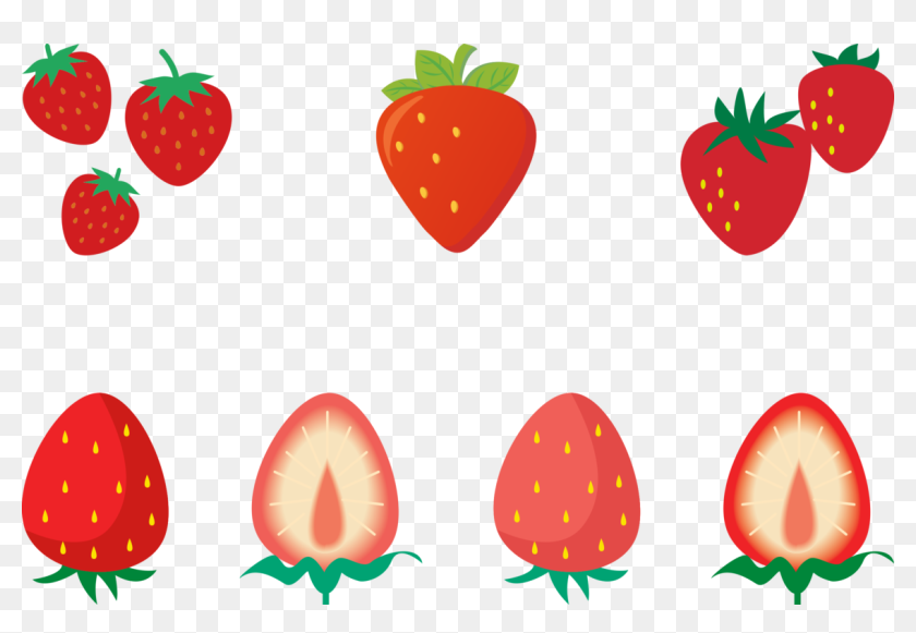 Strawberry Food Can Stock Photo Drawing Encapsulated いちご 断面 イラスト フリー Hd Png Download 1164x750 Pinpng