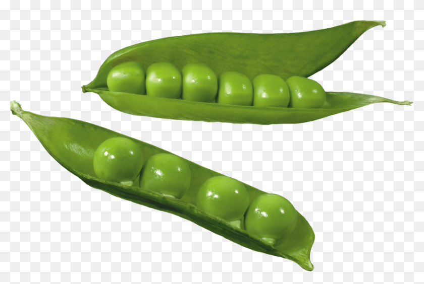 Free Png Pea Png Images Transparent - Clip Art Green Peas, Png Download