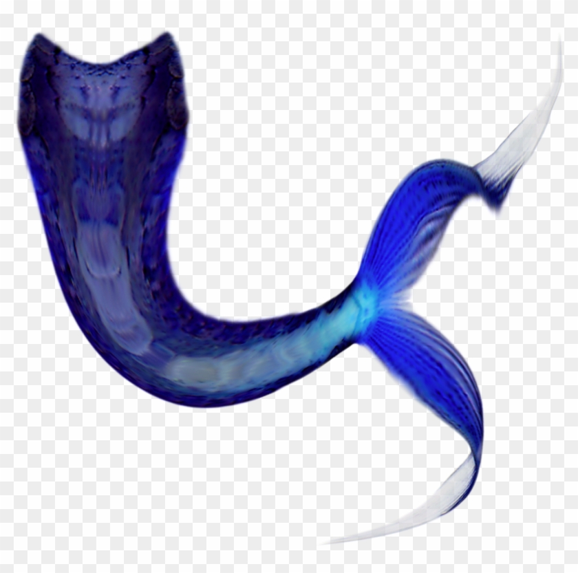 Share This Article - Blue Mermaid Tail Png, Transparent Png - 1835x1734