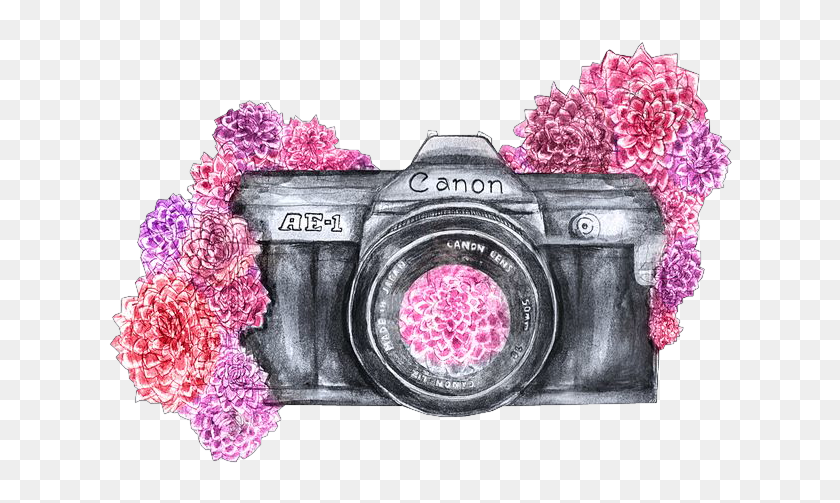 Vintage Camera Drawing Tumblr Transparent - Watercolor Camera Drawing, HD Png Download 