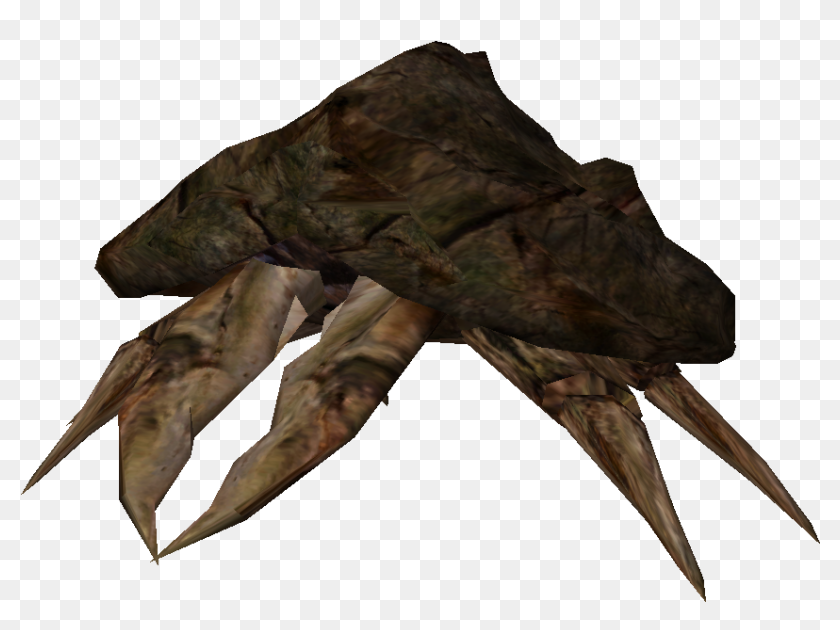 Morrowind Sneak Guide Conch, HD Png Download 907x633 (4991693